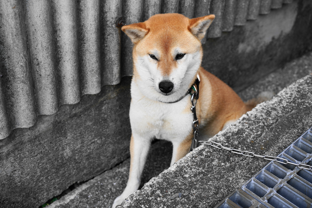 風通し良好