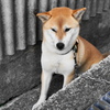 風通し良好
