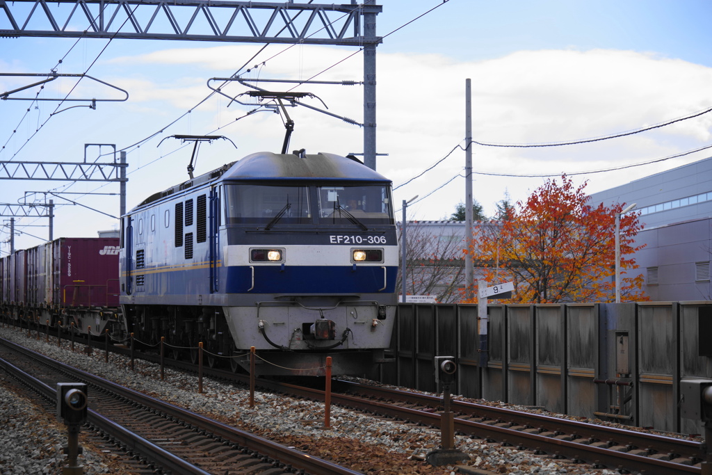 IJR貨物電車