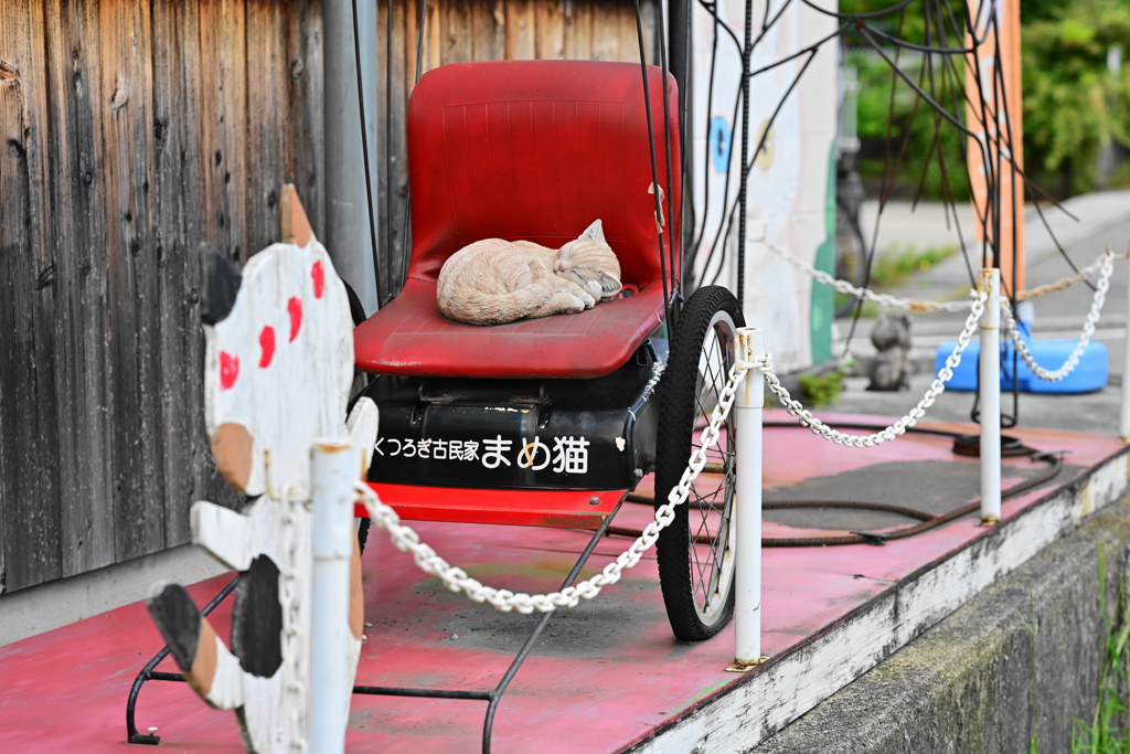 散策スナップ
