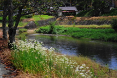 田舎風景