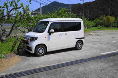 どっちも安全運転で