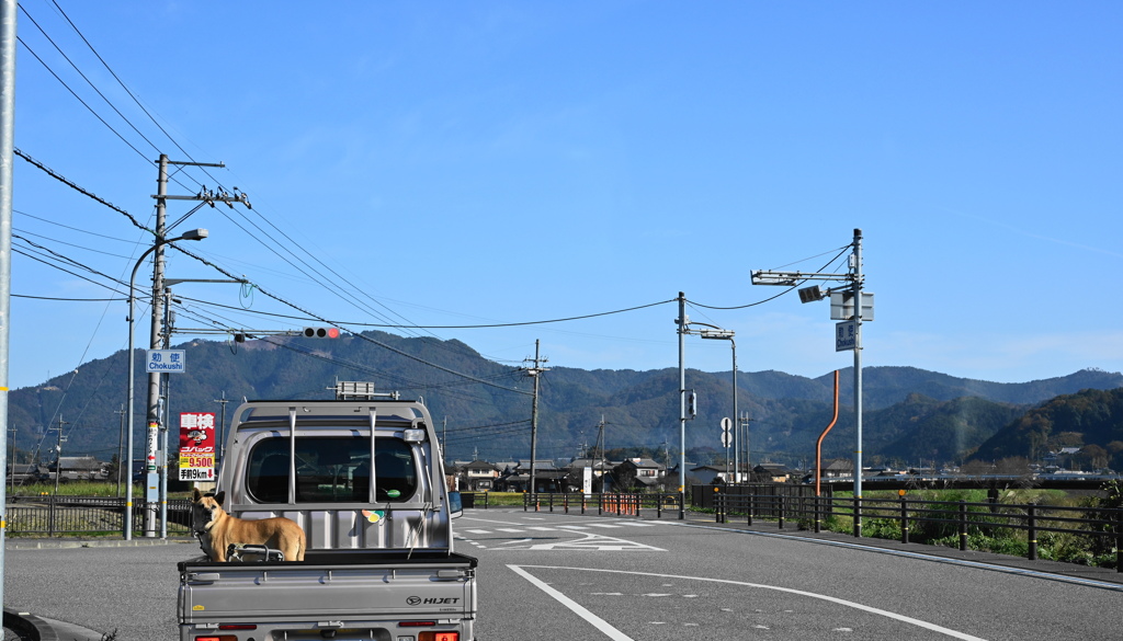 ドライブ