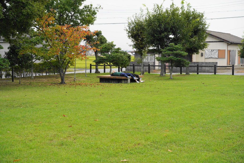 リラックスな　ひととき