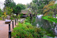 安曇野　大王わさび農園　２