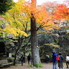 高源寺な風景