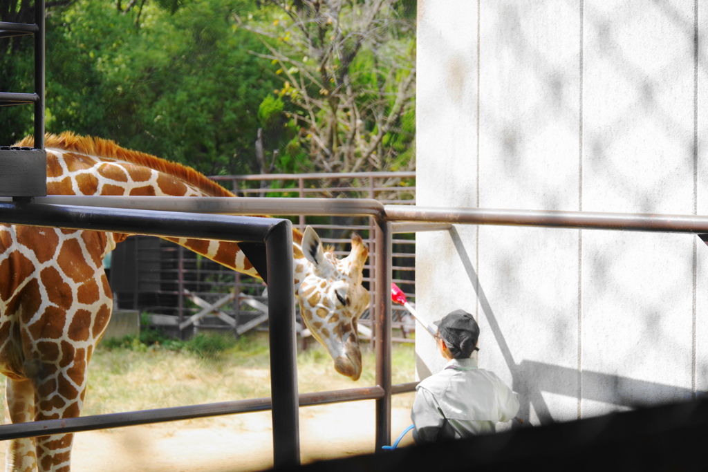 動物園