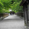 参道