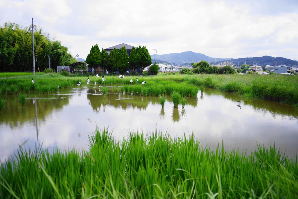 風景　２