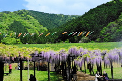 旬な風景