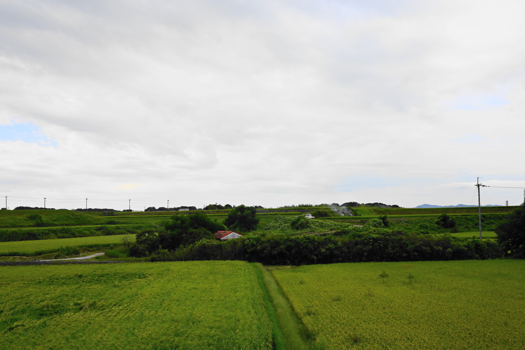 風景