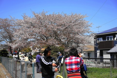 鳥撮りな風景