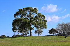 風景