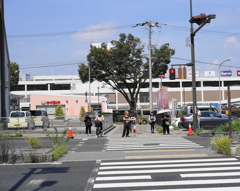 散策スナップ