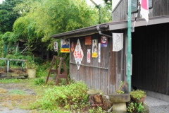 散策スナップ