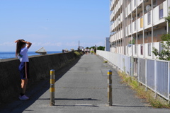 浜の散歩道