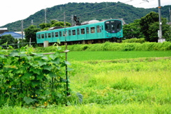 ローカル電車の風景