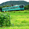 ローカル電車の風景