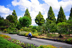 風景　１