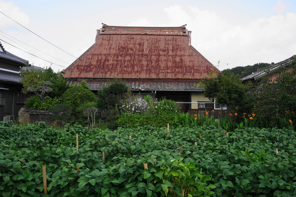 ブリキ屋根な風景