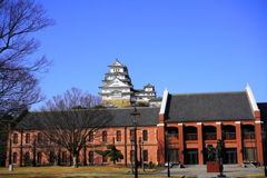 新年な風景