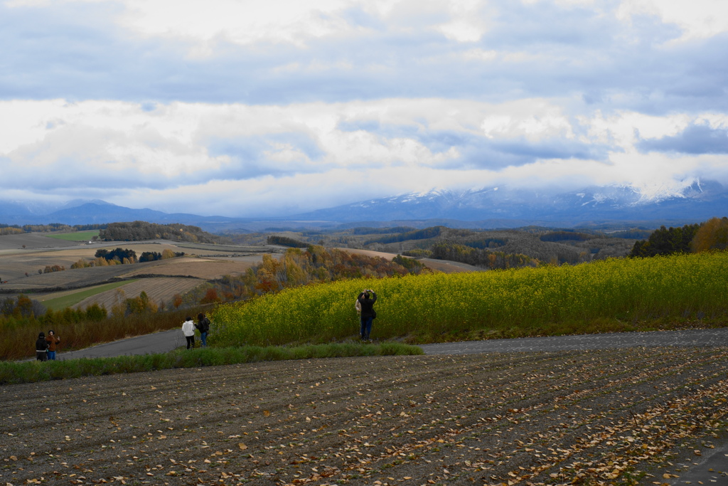 四季彩の丘な風景