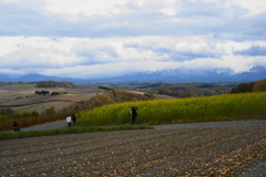 四季彩の丘な風景