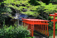 神社な風景