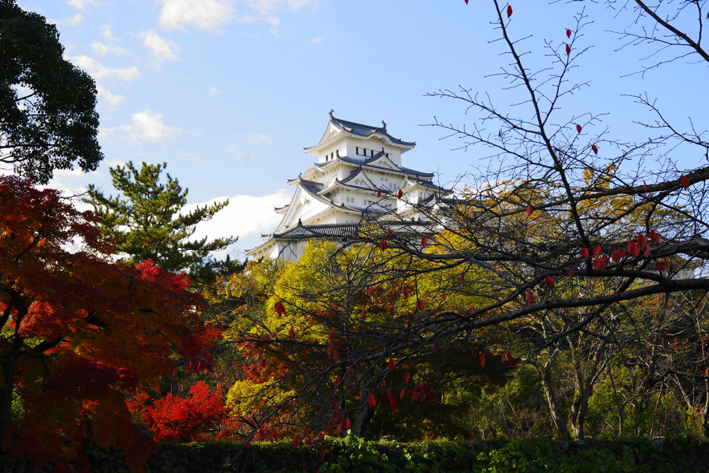 晩秋な風景