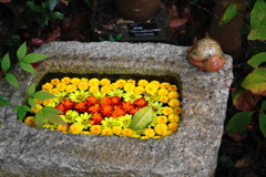 花手水