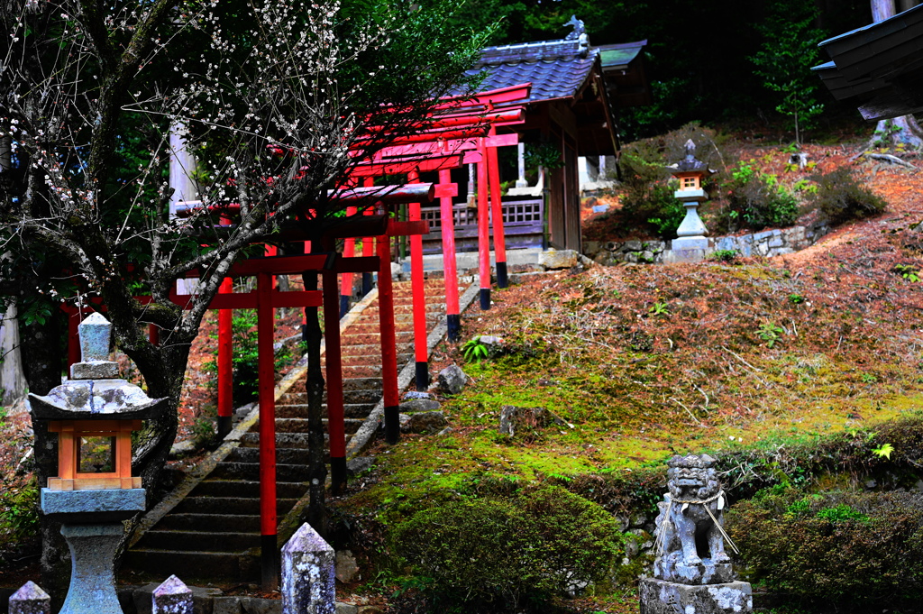 参道風景