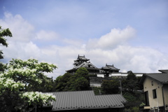風景