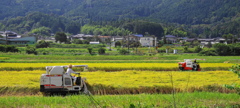 収穫な風景