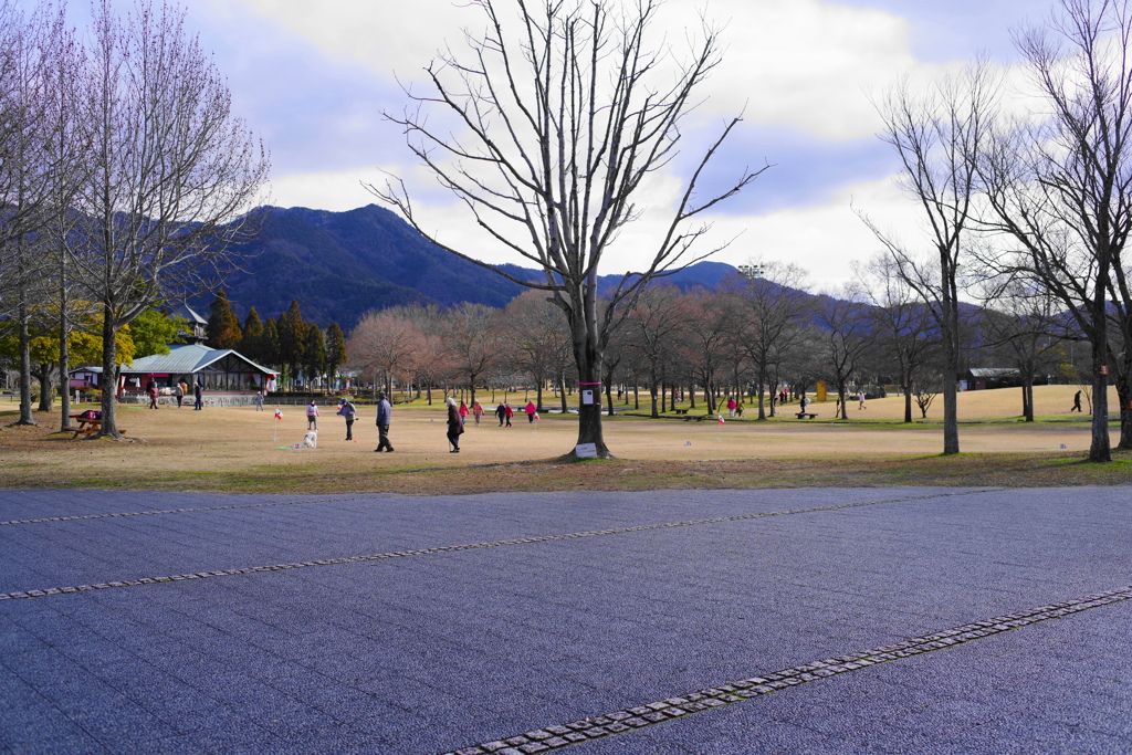 風景