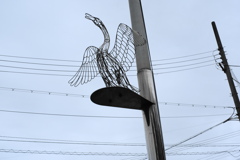 鳥