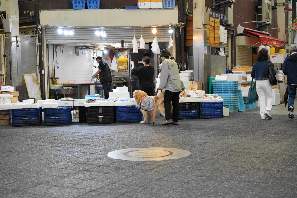 魚が棚市場