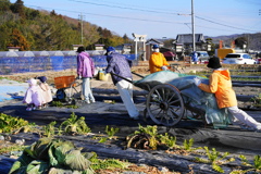 散策スナップ