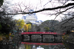 風景