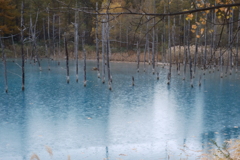 青い池