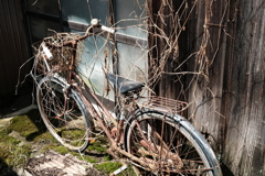 枯れ蔦な自転車