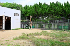 動物園