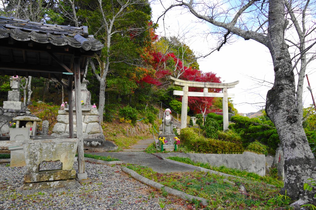 風景