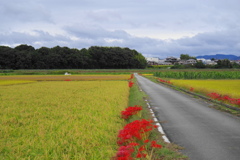風景