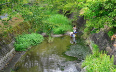 夏休みな風景