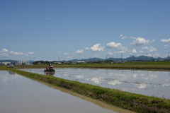 田植えの季節