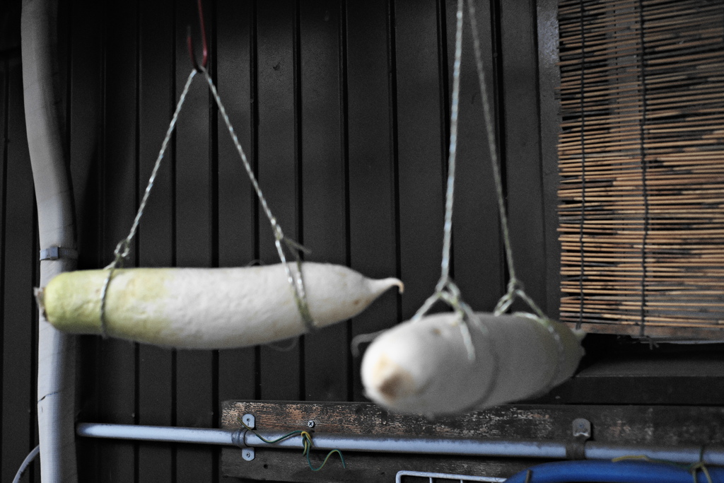 吊るしダイコン