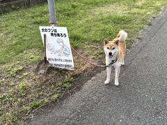 散歩