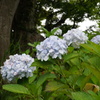 DSC00701