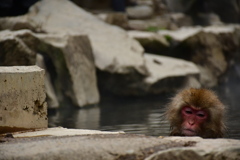 B40705E9-56B0-4054-9487-122584C5A9E6