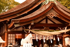 67F0458C-81BE-4E9F-A8D0-417F87F6C790